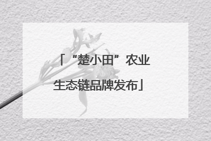 “楚小田”农业生态链品牌发布