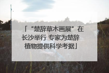 “楚辞草木画展”在长沙举行 专家为楚辞植物提供科学考据