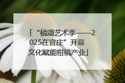 “橘颂艺术季——2025在官庄”开幕 文化赋能柑橘产业