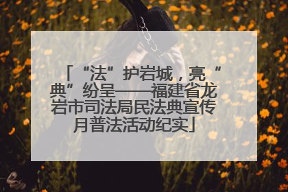 “法”护岩城，亮“典”纷呈——福建省龙岩市司法局民法典宣传月普法活动纪实