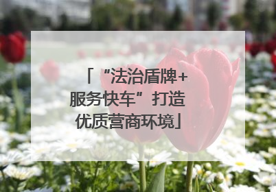 “法治盾牌+服务快车”打造优质营商环境