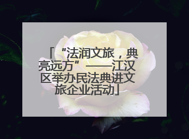 “法润文旅，典亮远方”——江汉区举办民法典进文旅企业活动