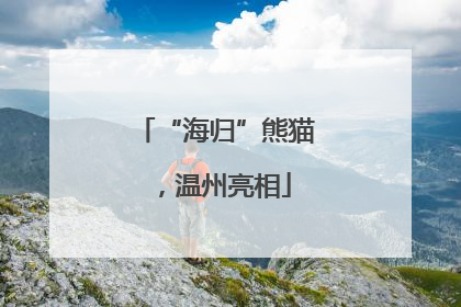“海归”熊猫，温州亮相