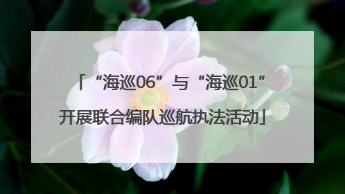 “海巡06”与“海巡01”开展联合编队巡航执法活动