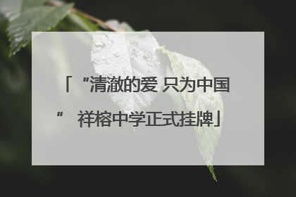“清澈的爱 只为中国” 祥榕中学正式挂牌