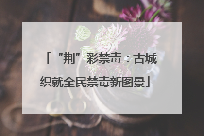 “荆”彩禁毒：古城织就全民禁毒新图景
