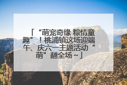 “萌宠奇缘 粽情童趣”！桃浦镇这场迎端午、庆六一主题活动“萌”翻全场～