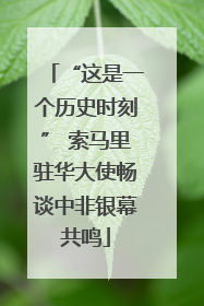 “这是一个历史时刻” 索马里驻华大使畅谈中非银幕共鸣