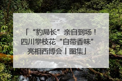 “豹局长”亲自到场！四川攀枝花“自带香味”亮相西博会丨图集