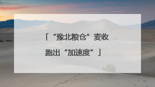 “豫北粮仓”麦收跑出“加速度”
