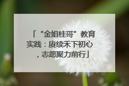 “金姐桂哥”教育实践：赓续禾下初心，志愿聚力前行