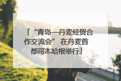 “青岛—丹麦经贸合作交流会” 在丹麦首都哥本哈根举行