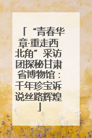 “青春华章·重走西北角”采访团探秘甘肃省博物馆：千年珍宝诉说丝路辉煌