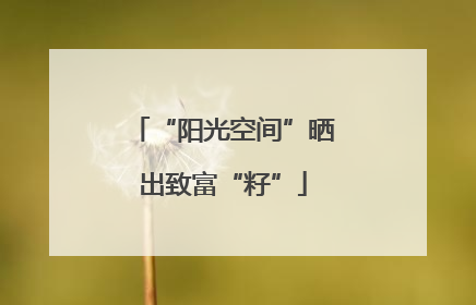 “阳光空间”晒出致富“籽”