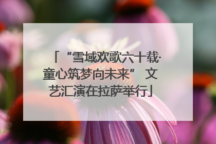 “雪域欢歌六十载·童心筑梦向未来” 文艺汇演在拉萨举行