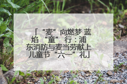 “麦”向燃梦 蓝焰 “童” 行：浦东消防与麦当劳献上儿童节“六一”礼