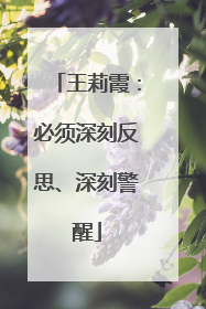 王莉霞：必须深刻反思、深刻警醒