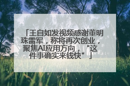 王自如发视频感谢董明珠雷军，称将再次创业，聚焦AI应用方向，“这件事确实来钱快”