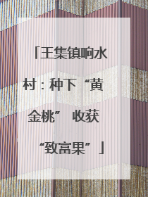 王集镇响水村：种下“黄金桃” 收获“致富果”