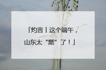 灼言丨这个端午，山东太“燃”了！