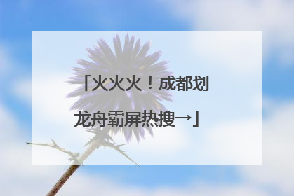 火火火！成都划龙舟霸屏热搜→