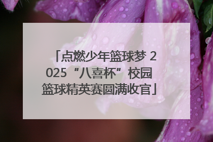 点燃少年篮球梦 2025“八喜杯”校园篮球精英赛圆满收官
