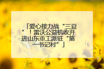 爱心接力战“三夏”！雷沃公益机收开进山东重工派驻“第一书记村”