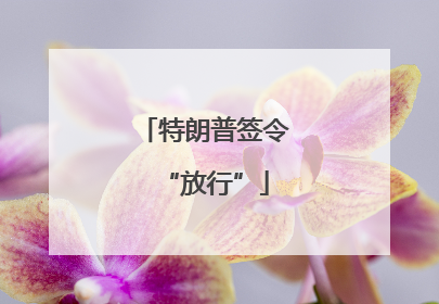 特朗普签令“放行”