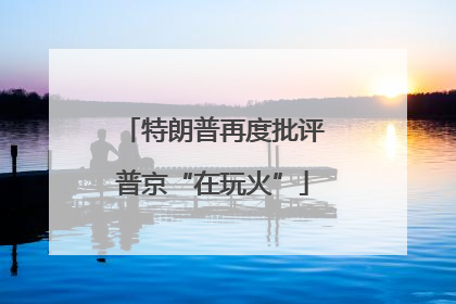 特朗普再度批评普京“在玩火”