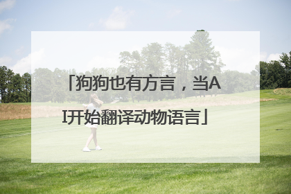 狗狗也有方言，当AI开始翻译动物语言