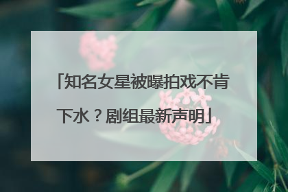 知名女星被曝拍戏不肯下水？剧组最新声明