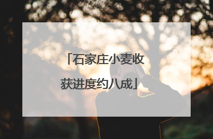 石家庄小麦收获进度约八成