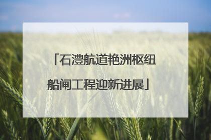 石澧航道艳洲枢纽船闸工程迎新进展