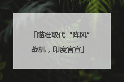 瞄准取代“阵风”战机，印度官宣
