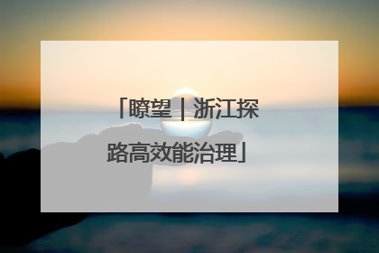 瞭望｜浙江探路高效能治理