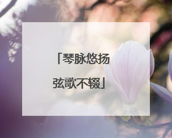 琴脉悠扬 弦歌不辍