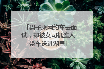 男子乘网约车去面试，却被女司机连人带车送进湖里