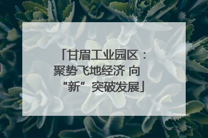 甘眉工业园区：聚势飞地经济 向“新”突破发展