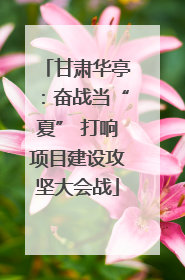 甘肃华亭：奋战当“夏” 打响项目建设攻坚大会战
