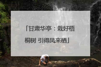 甘肃华亭：栽好梧桐树 引得凤来栖