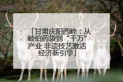 甘肃庆阳西峰：从岐伯药袋到“千万”产业 非遗技艺激活经济新引擎