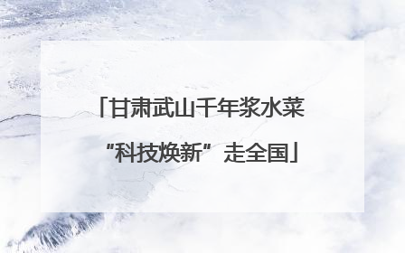 甘肃武山千年浆水菜“科技焕新”走全国