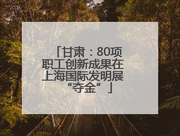 甘肃：80项职工创新成果在上海国际发明展“夺金”