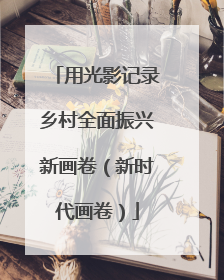 用光影记录乡村全面振兴新画卷（新时代画卷）