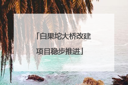 白果坨大桥改建项目稳步推进