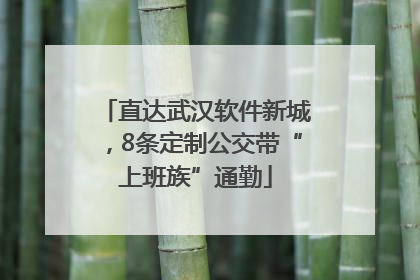 直达武汉软件新城，8条定制公交带“上班族”通勤