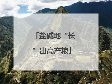 盐碱地“长”出高产粮