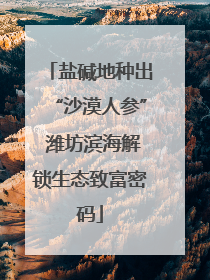 盐碱地种出“沙漠人参” 潍坊滨海解锁生态致富密码