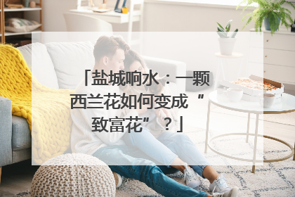 盐城响水：一颗西兰花如何变成“致富花”？