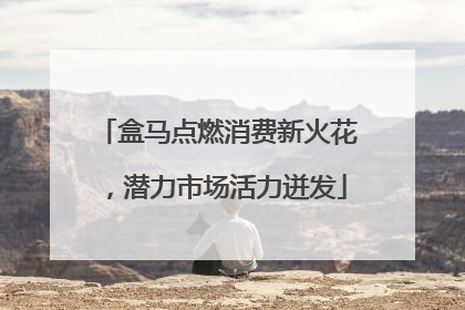 盒马点燃消费新火花，潜力市场活力迸发